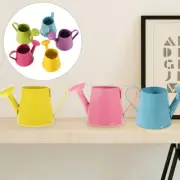 5 Pcs Child Sprayer Iron Sheet Mini Watering Can Kids Flower Bucket Miniature