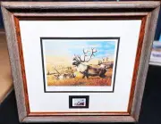 Guy Coheleach 1983 Boone And Crockett Club Stamp Print With Stamp - New Frame