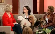 Sonya Fitzpatrick Megan Mullally Wanda Sykes Television Old Photo 3