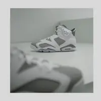 在飛比找蝦皮購物優惠-S.G Air Jordan 6 Cool Grey CT8