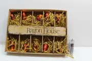 NIB Ragon House Vintage style Battery Operated Pine Cone LED String Lights