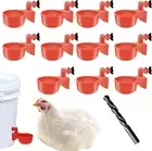 Poultry Waterer - Chicken Feeders and Waterers | Chicken Drinker Cups, Poultry W