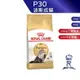 【ROYAL CANIN 法國皇家】波斯成貓專用乾糧(P30_2kg/4kg10kg) ｜ 皇家粉絲團 波斯貓 成貓飼料