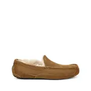 [Ugg] Ugg Ascot Slippers 43 IT BROWN