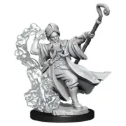 Dungeons & Dragons Frameworks Male Human Wizard Miniature Wizkids 75030