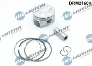 PISTON FITS: VW PASSAT B7 2.0 TSI.VW PASSAT B7 ESTATE 2.0 TSI.VW PASSAT B7 VA