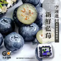 在飛比找鮮拾優惠-【光合果物】 美國空運藍莓6小盒家庭號(6小盒/家庭號)