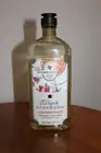 BATH & BODY WORKS AROMATHERAPY STEEPED INVIGORATION BODY WASH + FOAM BATH