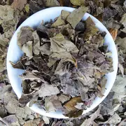 Raspberry Leaf Tea