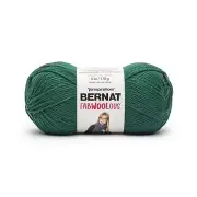 Bernat Fabwoolous Yarn-Pine