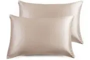 Luxury Pillowcase 2 Pack - 100% Pure Mulberry Silk on Both Sides - Champagne