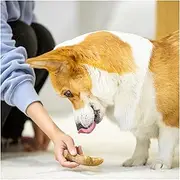 Pet Dog Chew Toys Antler Molar Teeth Clean Stick Toys For Small Medium Large Dogs Pet Chew Game Chewable Pet Toys cleaning expends energy grinding teeth (Size : M)