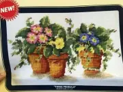 THREE PRIMULA DMC Needlepoint Canvas #NC002 6" x 9" Flowers Floral flowerpots
