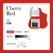 5ml Microblading Tattoo Pigments Paint Ink For Eyeliner Eyebrows Semi Permanent