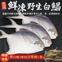 在飛比找PChome24h購物優惠-送草蝦10隻【三頓飯】鮮嫩野生白鯧魚(3尾組_220-280