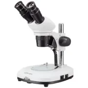AmScope SG204-P 20X & 40X Compact Stereo Microscope with Dual Lights