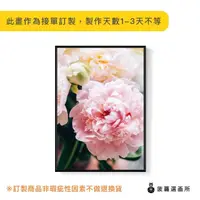 在飛比找momo購物網優惠-【菠蘿選畫所】粉與白‧牡丹I-50x70cm(招福吉祥花卉掛