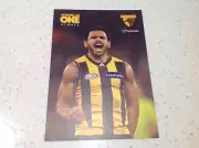 AFL HAWTHORN HAWKS CYRIL RIOLI PLAYER CAPTAIN POST CARD BARGAIN FOOTBALL 23