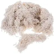 50G Preserved White DIY Floral Material for Wedding Party Garden Decor Home Office Vibrant Colors Less Dust for Present Baskets Container Plants