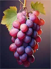 Still Life Red Grapes Leaves Kitchen Bathroom Wall Art Backsplash Marble Ceramic