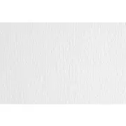 Fabriano Elle Erre Artist Paperboard 220gsm White