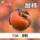 梨山公主 甜柿11A 8粒(5台斤)