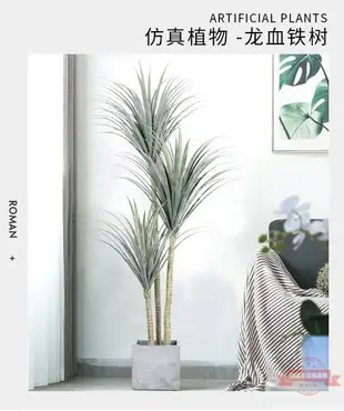 仿真鐵樹假植物盆栽酒店商場裝飾綠植客廳大擺件落地鐵樹