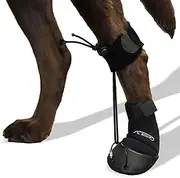 WALKABOUT™ Toe'sUP No Knuckling Boot Brace for Dogs Dragging Paws | Corrective Dog Shoes to Safely Lift Toes