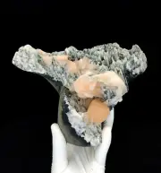 Natural Orange Stilbite On Chalcedony Minerals -#E747
