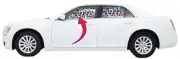 2011-2023 CHRYSLER 300 Door FRONT LEFT Laminated Acoustic Interlayer DD11935GTY (for: Chrysler)