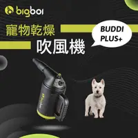 在飛比找蝦皮商城精選優惠-bigboi 寵物冷熱吹風機 Buddi PLUS+ 澳洲原