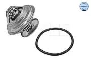 MEYLE Engine Thermostat For MAN MERCEDES RENAULT MULTICAR VOLVO 63-13 0042038375
