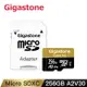 Gigastone 256GB micro SDXC UHS-Ⅰ U3 記憶卡(256G A2V30 高速記憶卡)