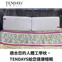 在飛比找Yahoo!奇摩拍賣優惠-百貨公司專櫃TENDAYs柔織舒壓枕  枕頭 TDS3-FP