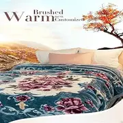 Autumn and Winter 4 kg Raschel Blanket Single Double 1.8 m Bed Super Soft Raschel Blanket Double Thickening