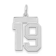 14k White Goldw Medium Satin Number 19 Charm