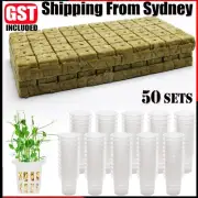 50 Sets Grow Starter Rockwool Cubes Hydroponics Plant Net Cup Basket Aquaponic A