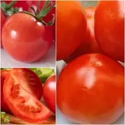 Tomato - Sweet English seeds