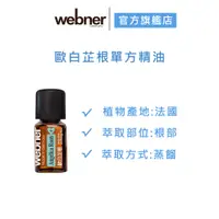 在飛比找蝦皮商城優惠-【webner葦柏納】歐白芷根單方精油 5ml