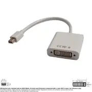 Adapter Video DP Mini Displayport Male DVI 24 +5 29 Pin Female 9" White