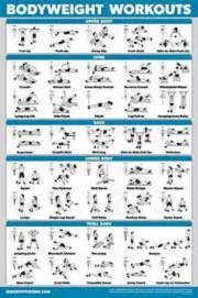 Palace Learning QUICKFIT Bodyweight Workout Exercise Poster - Body Weight Chart