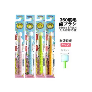 適用3-12歲 日本STB 360度牙刷 蒲公英牙刷 日本製