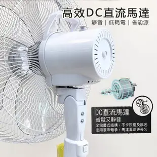 免運!SYNCO 新格牌 16吋DC變頻5段速無線遙控立扇電風扇 台灣製造 SSK-AC2023 16吋