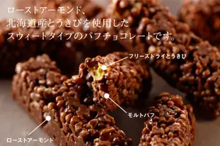 ＊日式雜貨館＊北海道 北菓樓 期間限定 巧克力米果棒 杏仁巧克力米果棒 限量商品 15入 現貨 巧克力餅乾棒