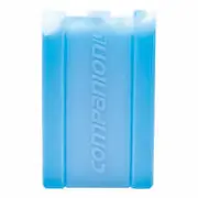 Companion Large 750ml Ice Brick