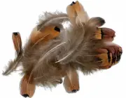 0.07 Ounce (Approximately 60-100 Feathers) Natural Pheasant Feathers with Natura