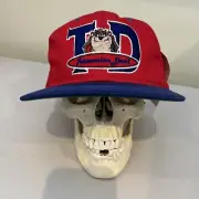 Vtg. 1993 Warner Bros. / Looney Tunes Tazmanian Devil "Taz" Baseball Style Hat