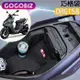 【GOGOBIZ】SYM DRG 158 龍王 機車車廂置物袋 機車巧格袋 分隔收納 (機車收納袋 巧格袋)