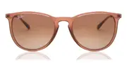 Ray-Ban RB4171 Erika 659013 Women Sunglasses