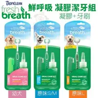 在飛比找松果購物優惠-Fresh breath 鮮呼吸 凝膠潔牙組(凝膠+牙刷) 